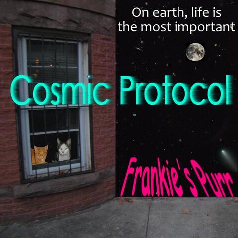 Frankie's Purr