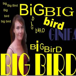 Big Bird (Live)