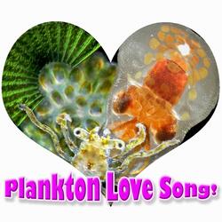 Plankton Love Song (Go with the Flow)