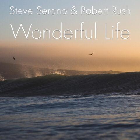 Wonderful Life