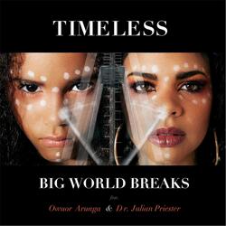 Timeless (feat. Owuor Arunga)