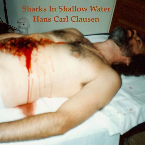 Sharks in Shallow Water