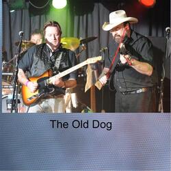 The Old Dog