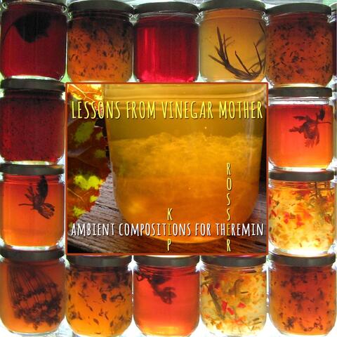 Lessons from Vinegar Mother (Ambient Compositions for Theremin)