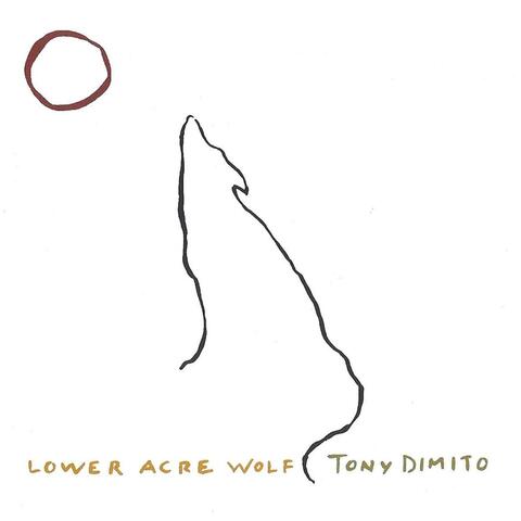 Lower Acre Wolf