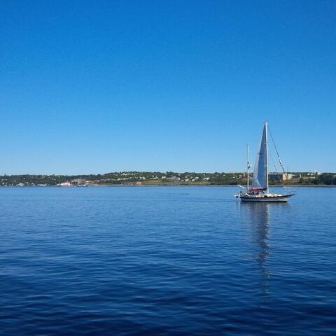 Halifax Girl