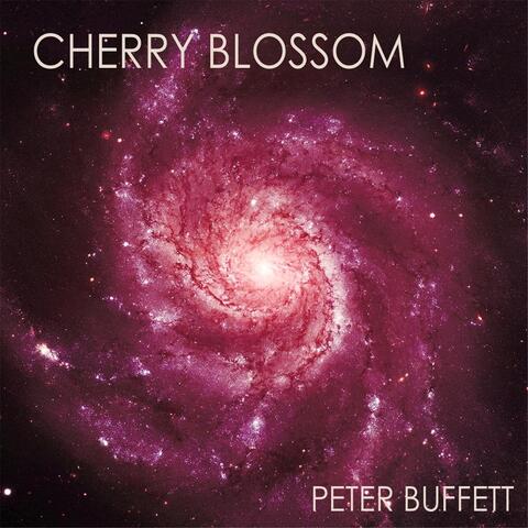 Cherry Blossom
