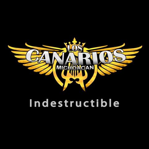 Indestructible