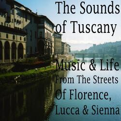 Classical Guitar-Lucca-Florence