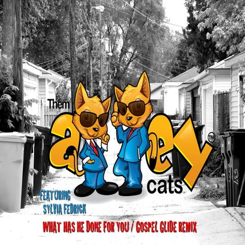 What Has He Done for You / Gospel Glide (Remix)