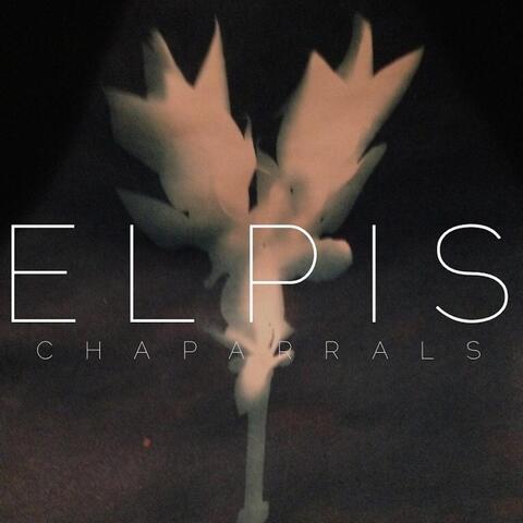 Elpis