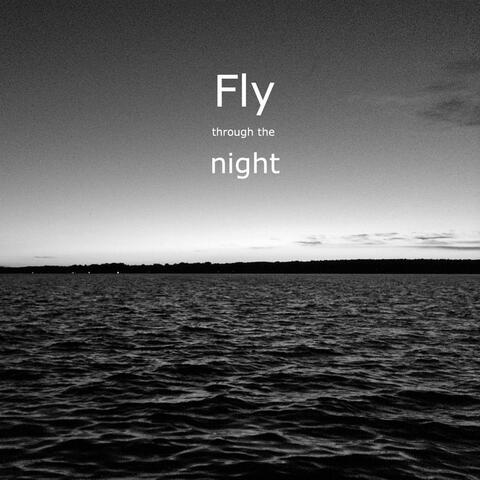 Fly Through the Night
