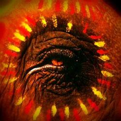 Everybody's Like a River