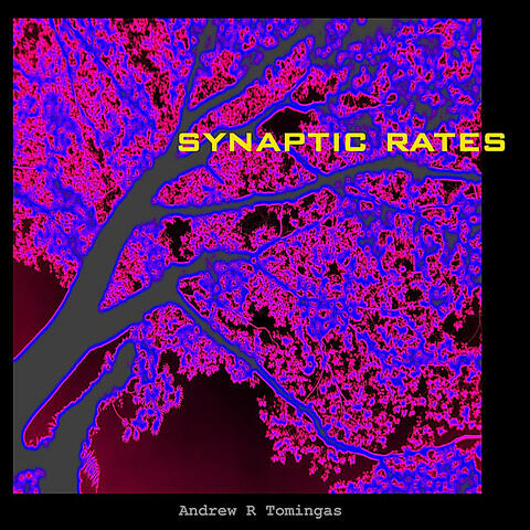 Synaptic Rates