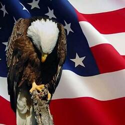 Red, White and Blue