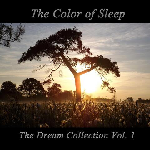 The Dream Collection, Vol. 1