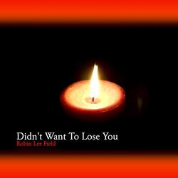 Didn't Want to Lose You