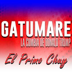 Gatumare (La Cumbia de Donald Trump)