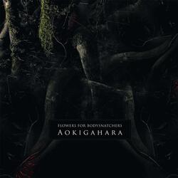 Prisoner of Night and Fog