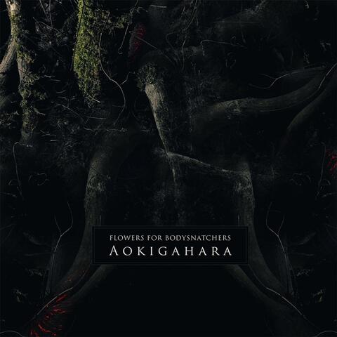 Aokigahara