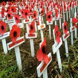 I Am Australian (Anzac Version)