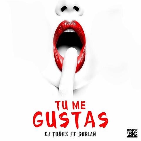 Tu Me Gustas (feat. Gorian)