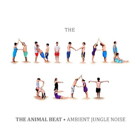 Ambient Jungle Noise (Expanded)