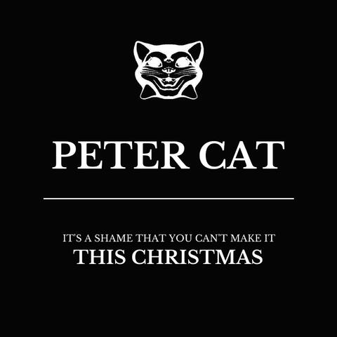 (It's a Shame That You Can't Make It) This Christmas