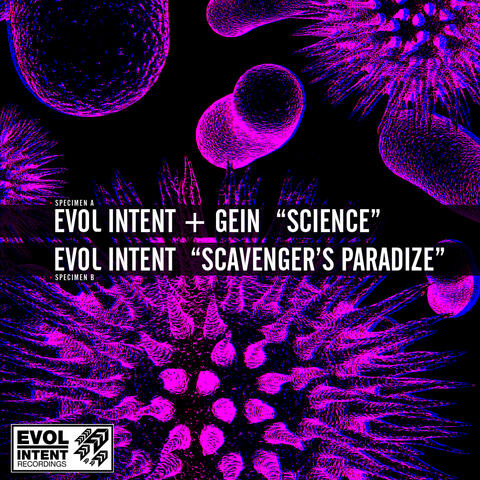 Science / Scavenger's Paradize