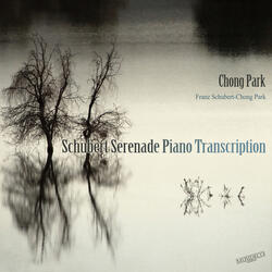 Schubert Serenade Piano Transcription