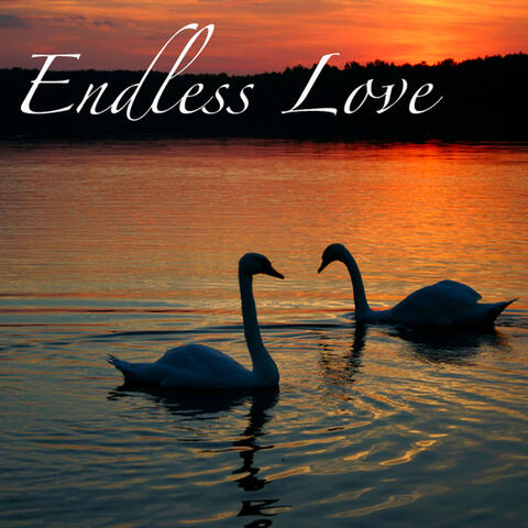 Endless Love