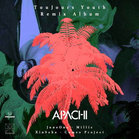 TouJours Youth Remix Album
