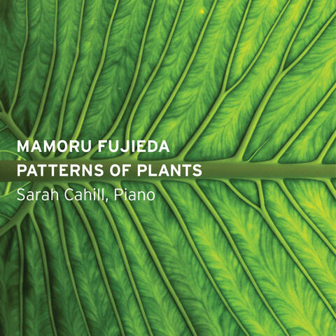 Mamoru Fujieda: Patterns of Plants
