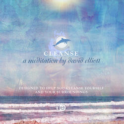 Cleanse Meditation
