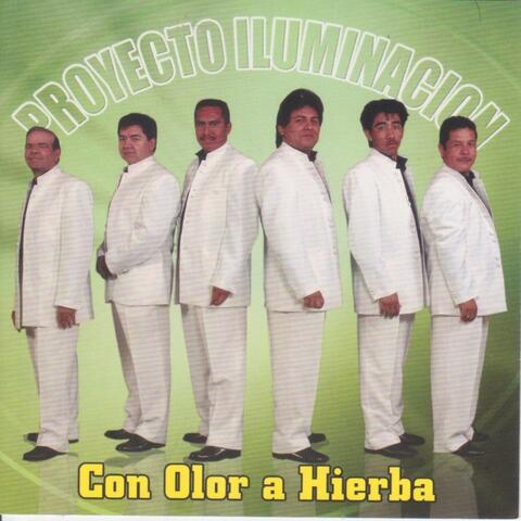 Proyecto Iluminacion