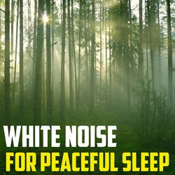 White Noise for Peace and Calm Sleep