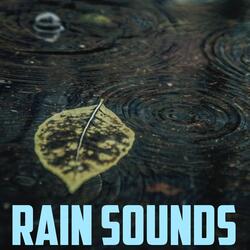 Rain & Ambient Noise