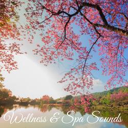 Zen Wind (Peaceful Spa Music)
