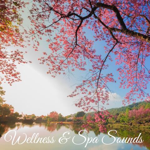 Wellness & Spa Sounds