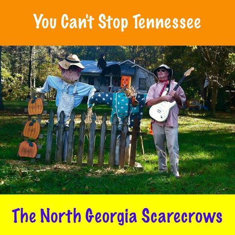You Can't Stop Tennessee - Single