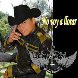 No Voy a Llorar