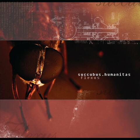 Succubus Humanitas