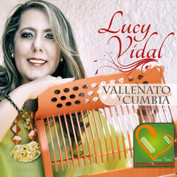 Mi Acordeon