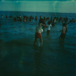 Detritus / Geraldine and Her Apricot Tree