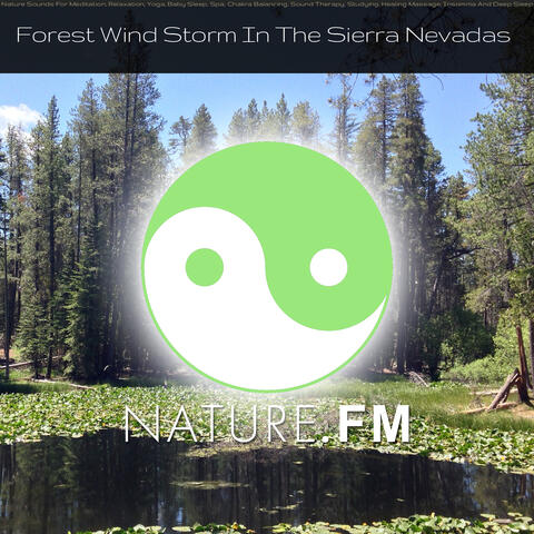 Forest Windstorm in the Sierra Nevadas (Nature Sounds for Meditation, Relaxation, Yoga, Baby Sleep, Spa, Chakra Balancing, Sound Therapy, Studying, Healing Massage, Insomnia and Deep Sleep)
