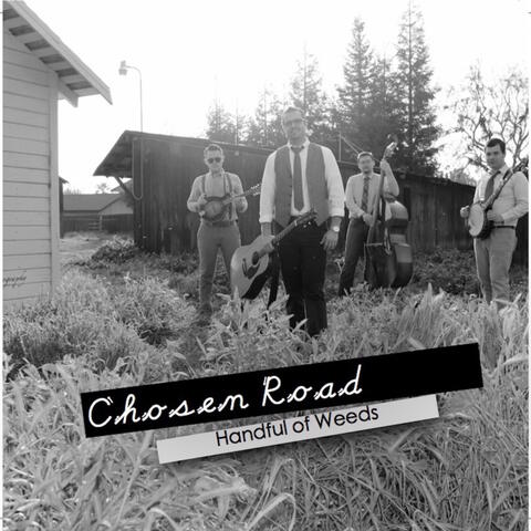 Handful of Weeds - Single