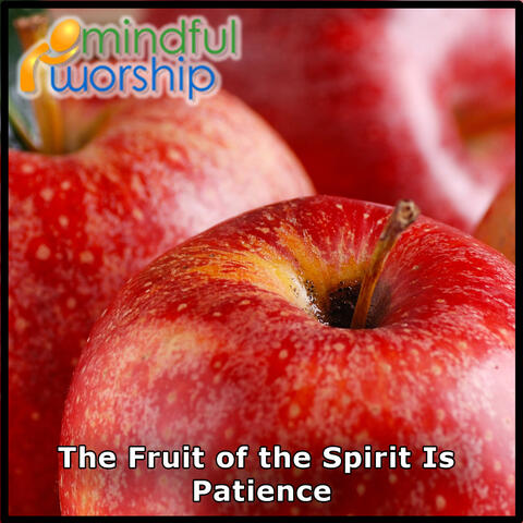 The Fruit of the Spirit Is Patience