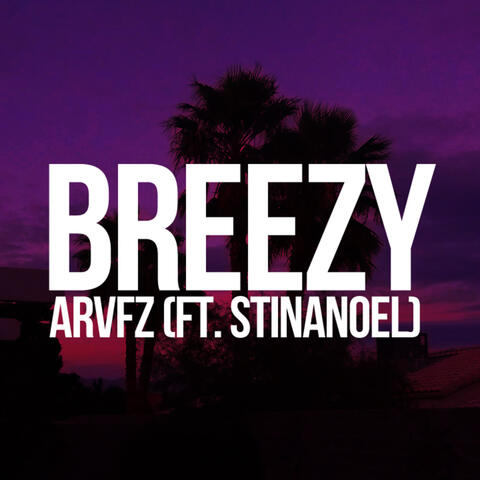 Breezy (feat. StinaNoel) - Single