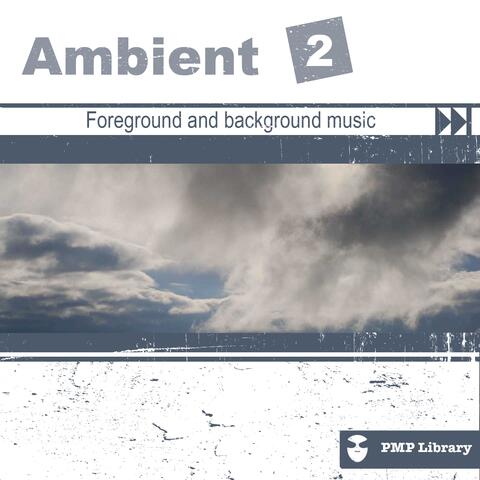 PMP Library: Ambient, Vol. 2