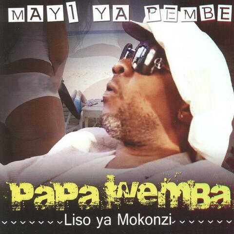 Mayi ya pembe